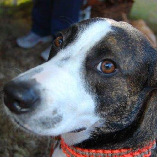 FB IMG 1649534189593