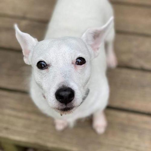 FB IMG 1649534644620